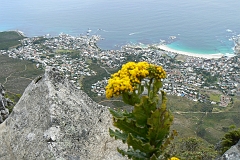 0822-Reis Zuid-Afrika2007